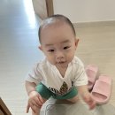 낙동강관리본부 대저생태공원 6 이미지