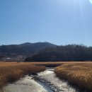 벌교게이트볼장 | 전라남도 벌교 여행 후기