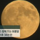 럭키 이미지