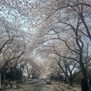 오뜨비쥬