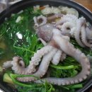 으뜸낙지 이미지