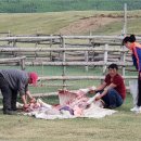 몽골 체체궁산/테를지 트레킹 Day3 이미지