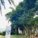 금빛펜션한반도 | 제주/서귀포 :: 하트나무 소노캄 제주 + 한반도 큰엉해앙경승지 (+주차TIP )