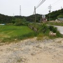 울진공인행정사 이미지