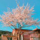 주주펜션 이미지