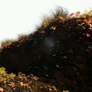 혜성 당구장 이미지