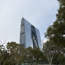 참조아약국 | 26년 2월: 역마살이란 이런걸까