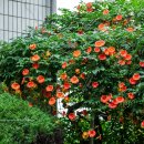 이화메디컬의원 이미지