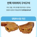 수덴탈 네이버블로그
