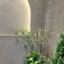 레이지키친 이미지