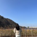 22.01.16 기록📝 (전체방문자수 1000명 돌파😭)