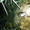 한탄강하우스 이미지