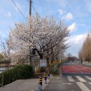 왕버들공원화장실 이미지