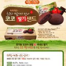 샌드코코 이미지