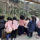 🎡전주 동물원에 다녀왔어요🎡 이미지