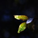 신분당선강남역 이미지