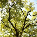 독서논술지도사(2급) 이미지