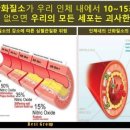 셀피아 이미지