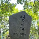 2024년07월20일 충남 금산 "성치산 성봉" 정기산행 = #12 이미지