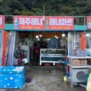 둥이마트 이미지