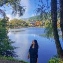 아이렌트카 이미지