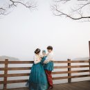 브로스냅 이미지