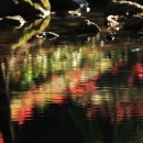 곰소농장 이미지