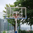 성남신흥초등학교 이미지