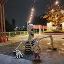 라베성형외과의원 | 18개월 아기 입술 찢어짐, 성형외과에서 꿰맨 후기