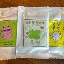 내일 열심히 하자 오늘은 X