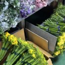 헤르만아트홀 이미지