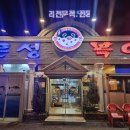 은성복어 이미지