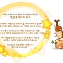 방울풍뎅이 이미지