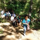 불은초교 이미지