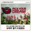 드림팜 | [파주 아이와 가볼만한곳] 딸기드림팜 후기: 키즈카페급 놀이시설, 음식물 반입 규정 및 두쫀쿠 판매