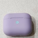 블라우풍트 무선이어폰 (BLAUPUNKT) 10개월 사용후기