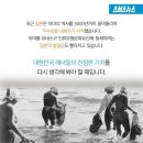 해녀삼춘