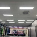 세종복싱 이미지