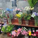 꽃이필무렵 이미지