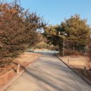 승학체육공원 이미지