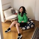 허브23다이어트