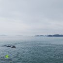 하늘고래민박
