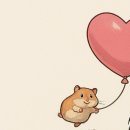 W. 헤이허니 스튜디오 , 이동희 이사님 오후 촬영 후기