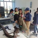 걸포초등학교 이미지