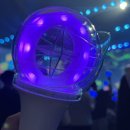 똥강아지네 | 4년 차 이파리(똥강아지)의 이세계페스티벌 2025 DAY2 후기!