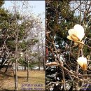 둔산 선사유적지 이미지