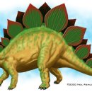 스테고사우루스-2 이미지