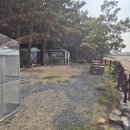 대부도 바닷가펜션 이미지