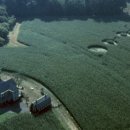 이영화농장 이미지