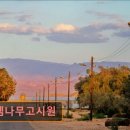 로뎀나무고시원